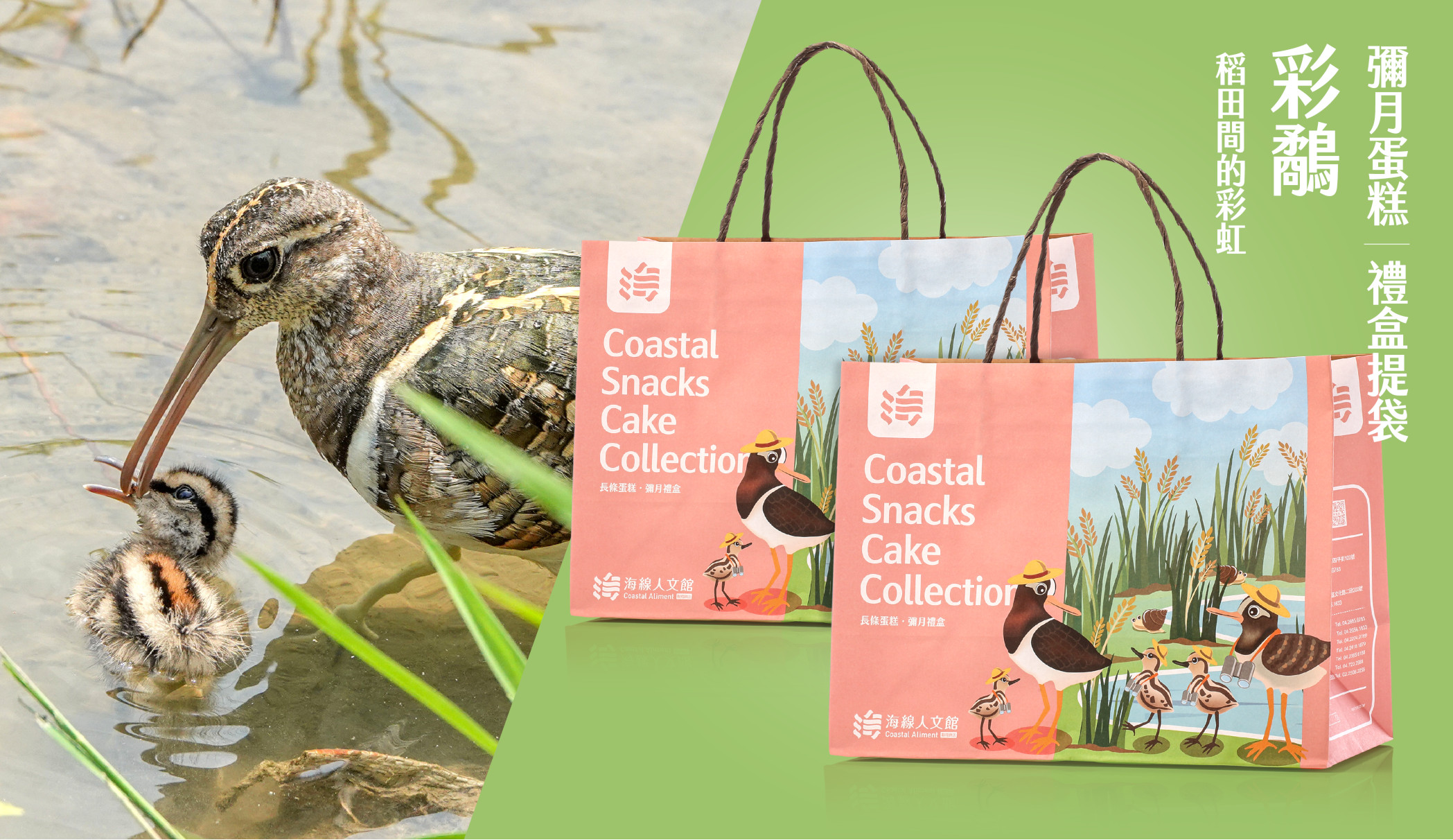 /packing/painted-snipe